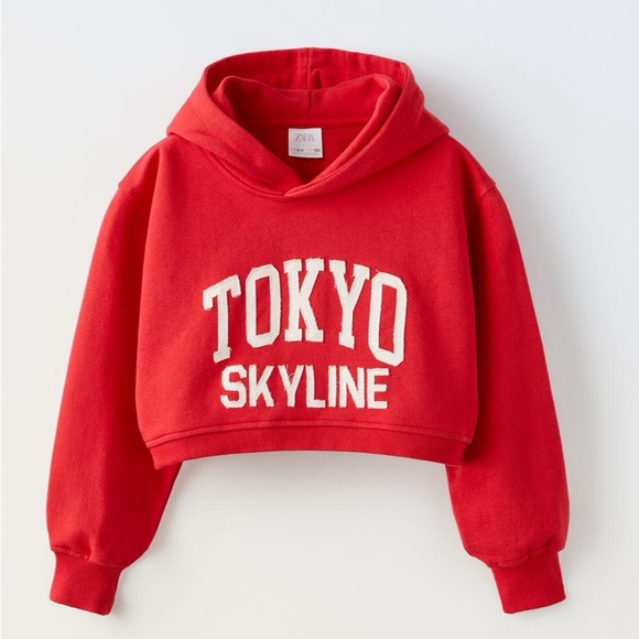 ZARA Embroidered Cropped Hoodie - Picture 5 of 8